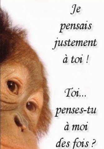 lache tes comms !!