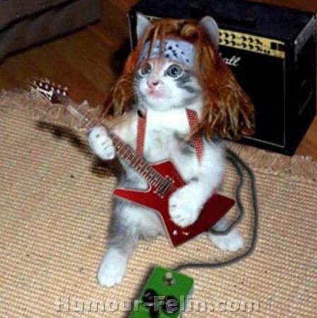 ho la coif !! lol !! lol !!