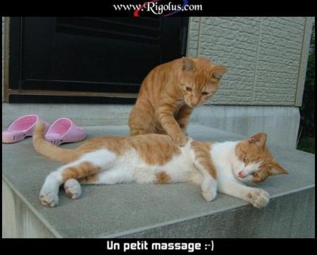 Allez au boulot mon frère cherie !! 