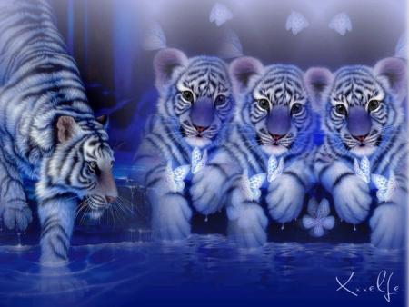 Qu'il sont beau !!!