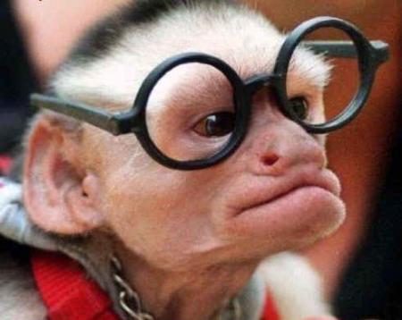 Alors papi  sa va ? AVEC TA JOLIE PAIR DE LUNETTE !!