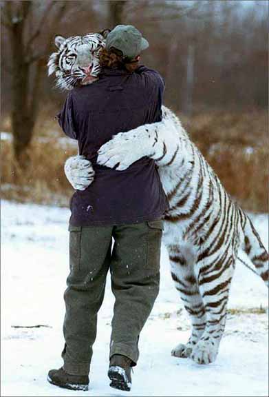 Voici un gros calin pour toi mon amis !! lol !! lol !!