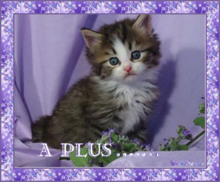 Bisous à tous !!