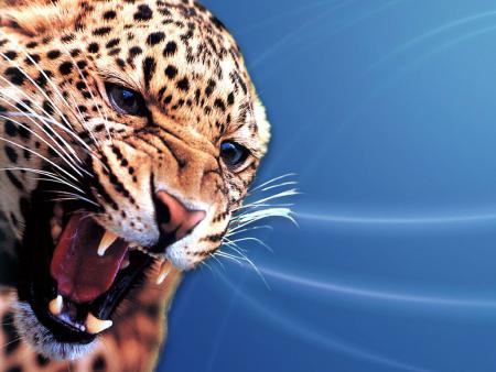 Quelle belle image !!