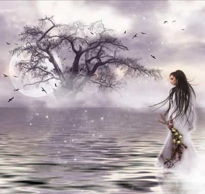 Quelle belle image !!!