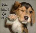 toc!toc!!